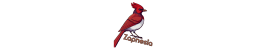 Zapnesia - Saskatoon Music